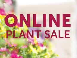 online plant 2