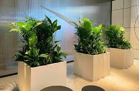 rent of plant